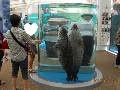 京都水族館_b0171411_12412915.jpg