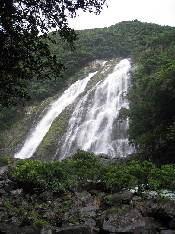 d0039312_11155537.jpg