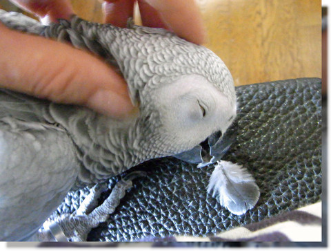 c0133013_16542530.jpg