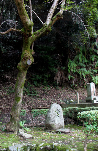 法然院 みどりしたたる_e0048413_20592189.jpg