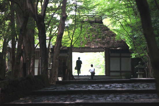 法然院 みどりしたたる_e0048413_20593329.jpg