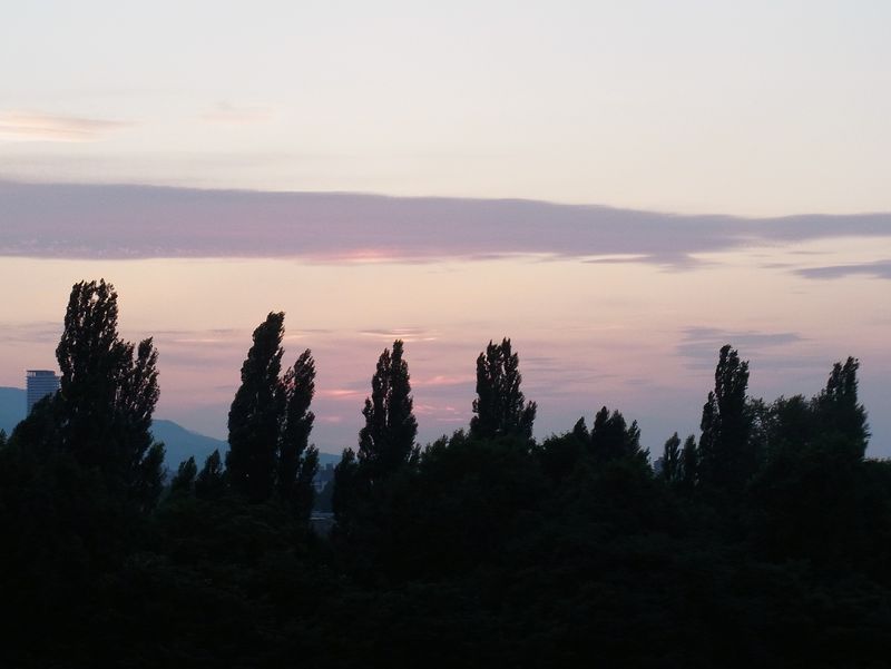 最高気温32.5℃_c0025115_2024058.jpg