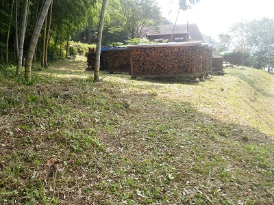 e0151623_436964.jpg