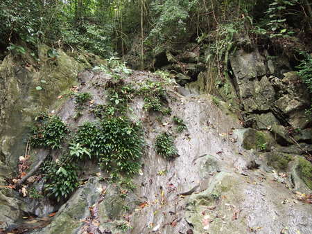 d0150727_22313657.jpg