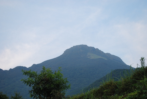 e0202231_17124513.jpg