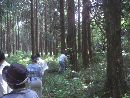 H24.7.25　富士市市有林（内山財産区）視察_c0161833_18124956.jpg