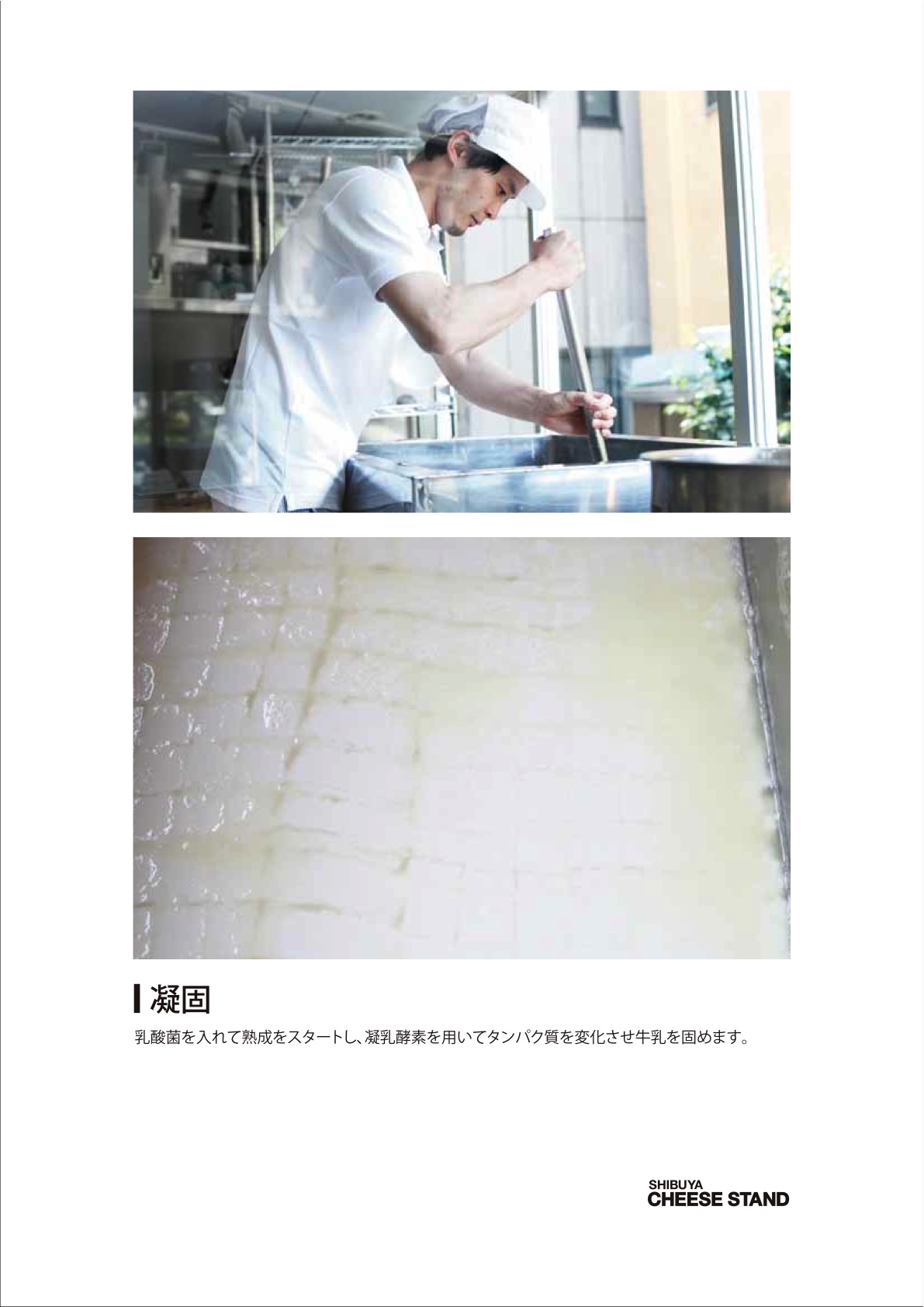 SHIBUYA CHEESE STAND　チーズ製造工程です！_c0135436_18571375.jpg