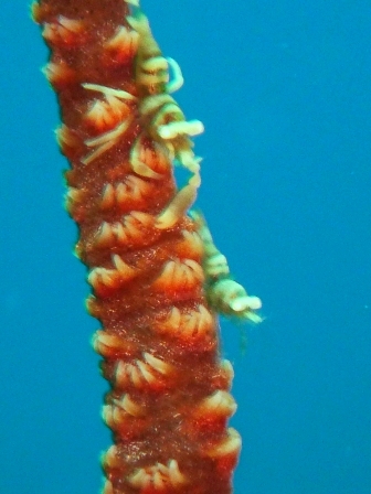 a0189838_957777.jpg