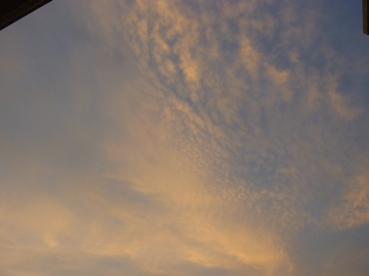 b0169238_2163079.jpg