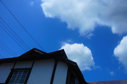 b0207642_82226.jpg