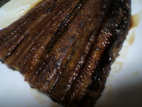 ウナギ_d0004447_22383640.jpg