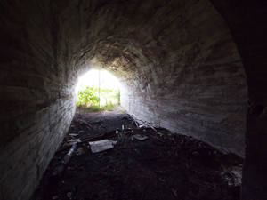 f0108347_1412435.jpg