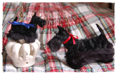 スコティッシュ　テリア　～ Scottish Terrier ～_a0205848_9113057.jpg