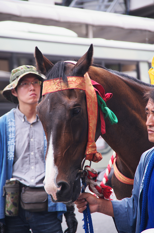 花傘巡行・河原町通～御池通～寺町通_f0155048_22552573.jpg