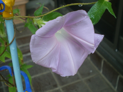 c0134850_9205276.jpg