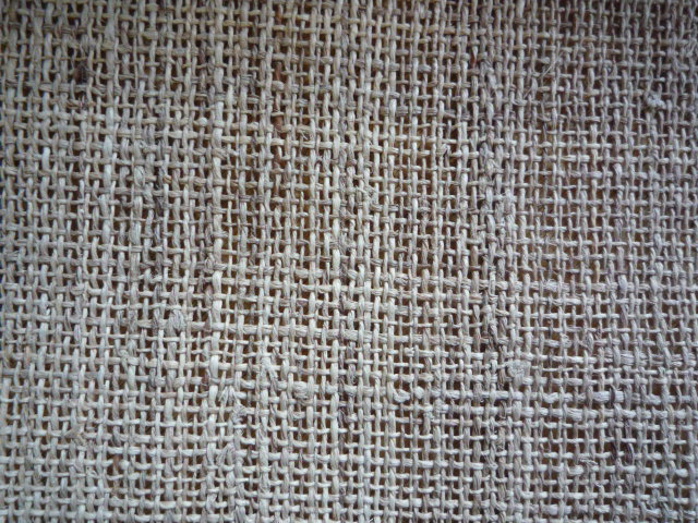 f0181251_16435744.jpg