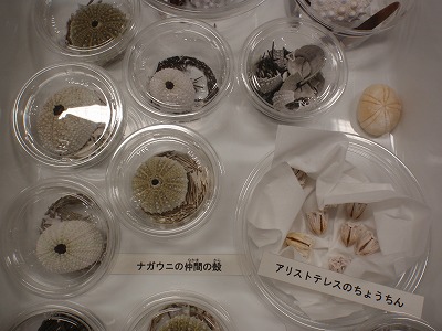 c0180460_13385.jpg