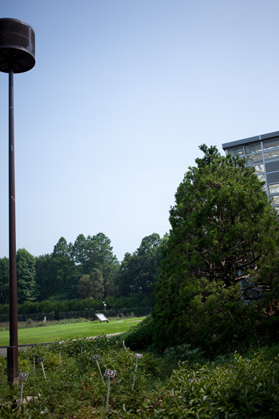 2012/07/27　深大寺＠EF40 F2.8 STM　その２_b0171364_2018954.jpg