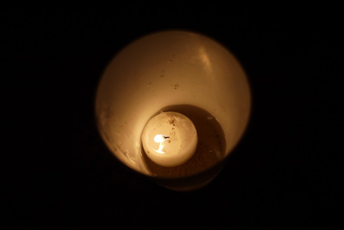 f0184668_1505095.jpg