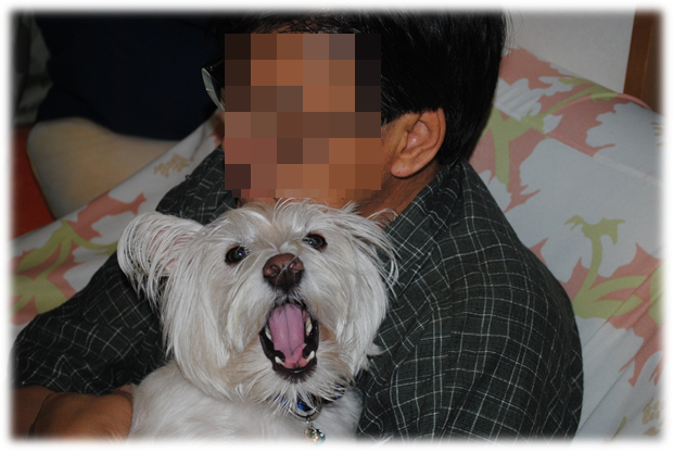 b0242873_235320100.png
