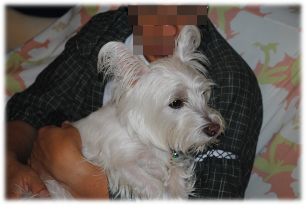 b0242873_23533214.png