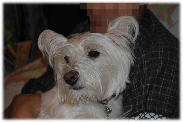b0242873_23535288.png