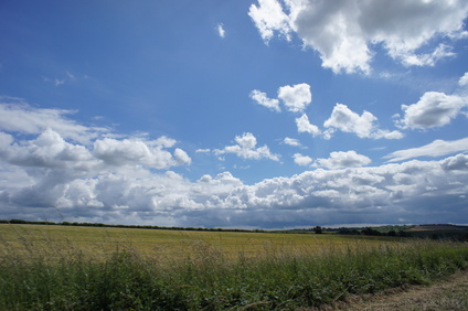 e0181286_4465550.jpg