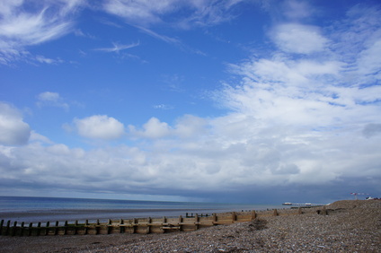e0181286_4511747.jpg