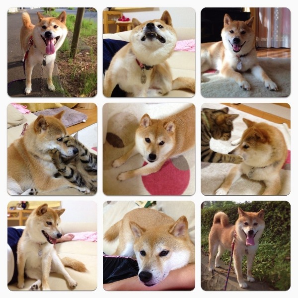 疲労度MAX_a0126590_1551327.jpg