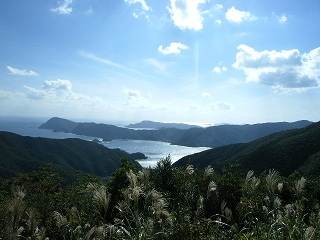 d0156797_15285015.jpg