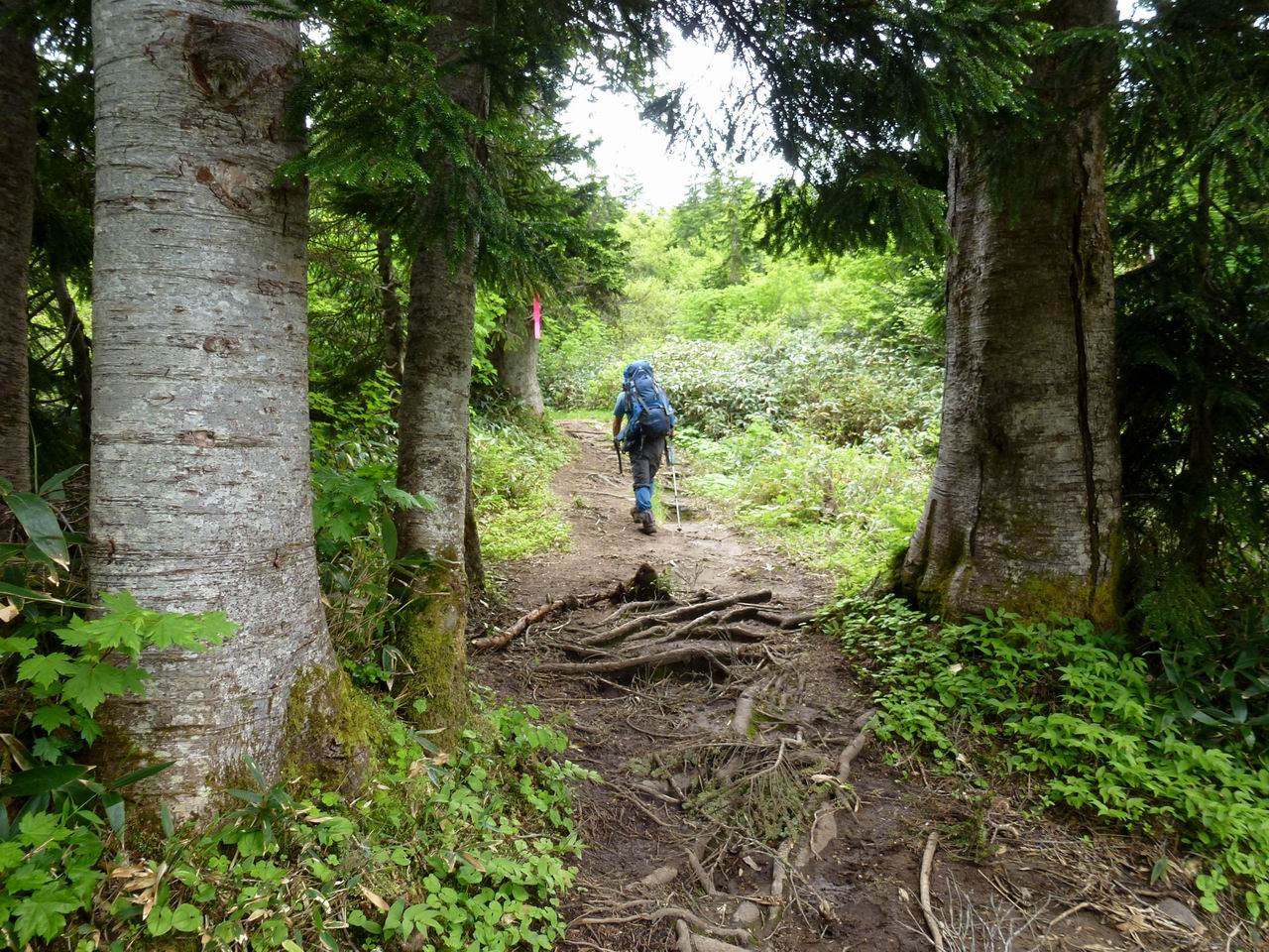 妙高山－荒々しく力強いドーム状の岩峰_e0110500_2148348.jpg