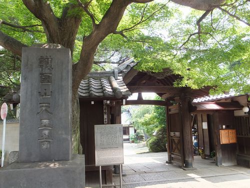 「江戸の三富」の「天王寺」で合掌する大仏に出会う　_f0120102_18324066.jpg