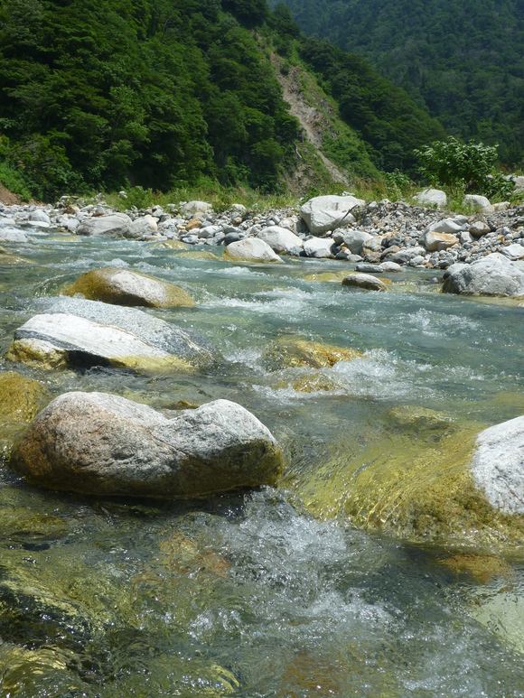 b0229003_224765.jpg