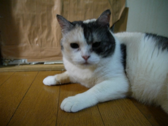 f0218911_29389.jpg