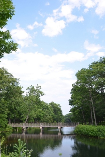 e0062415_1714671.jpg