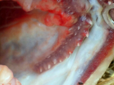 b0259124_14354358.jpg