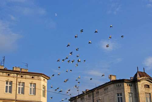 c0184125_14194919.jpg