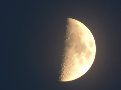 f0228030_902621.jpg