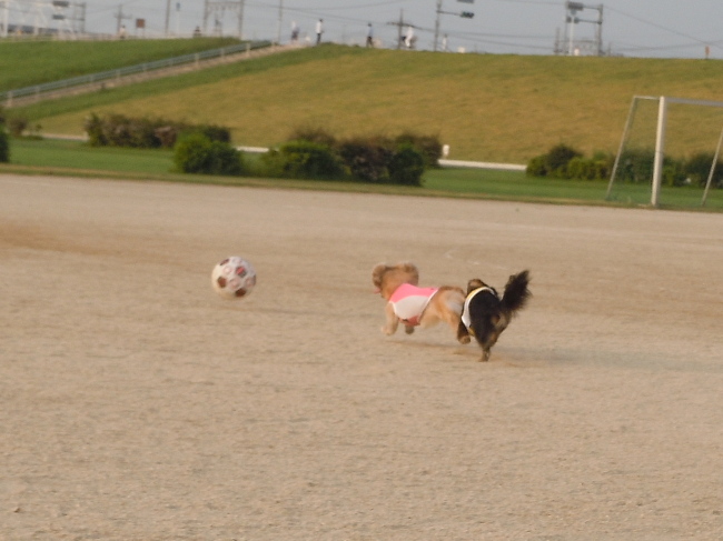 １２年７月２８日　サッカー＆花火♪_c0117831_21404159.jpg