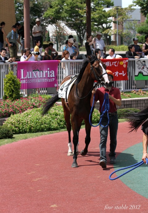 7.28  スポーツの祭典始まる_c0240132_64326.jpg