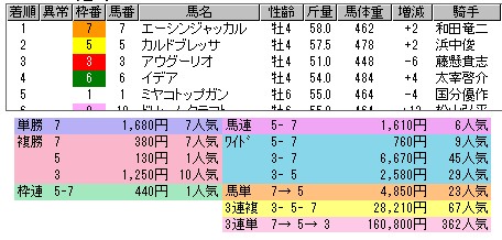 2438　▼ロンドンの花火と小倉の花火、スケールが違う（笑）。　比べるなよ！_c0030536_20483020.jpg