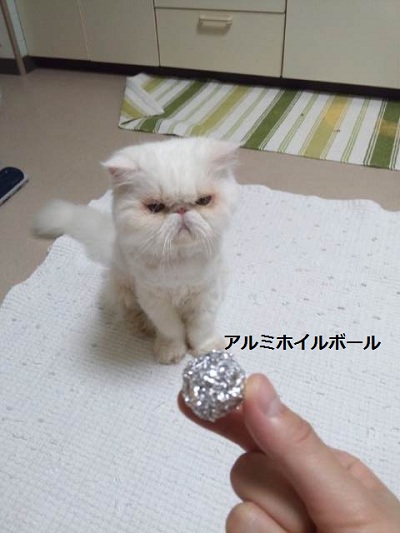 チロルはサッカー派_d0152937_22335763.jpg