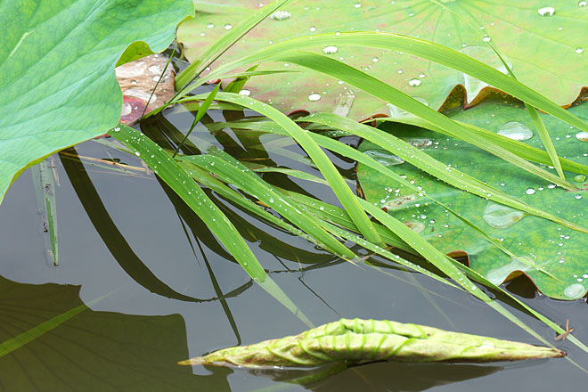 c0067040_231418100.jpg