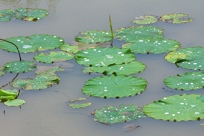 c0067040_23261685.jpg