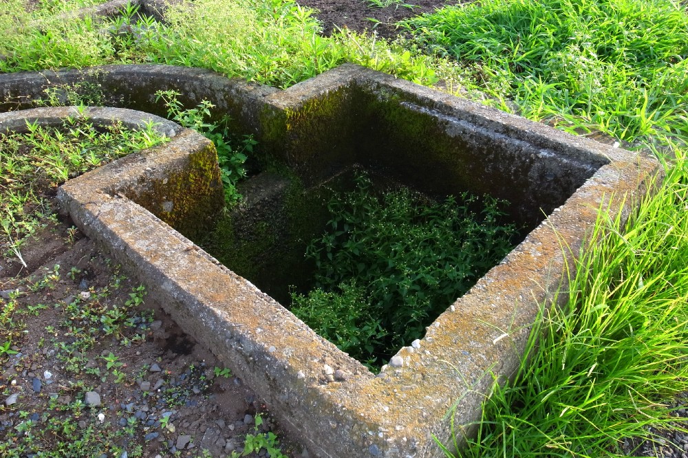 e0009147_98268.jpg