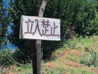 d0150949_194655.jpg