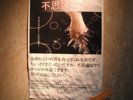ドクターフィッシュ 水口センチュリーホテル 宿泊記 奈良 京都 滋賀 12夏 6 Troubleとtravelは似ているけど 語源は違うんだよ ドクターフィッシュ 水口センチュリーホテル 宿泊記 奈良 京都 滋賀 12夏 6 Troubleとtravelは似ているけど 語源は違うんだよ
