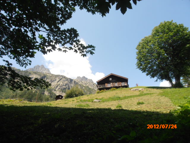 d0258462_16322867.jpg