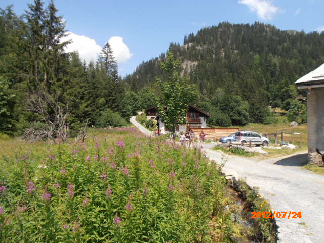 d0258462_1640375.jpg