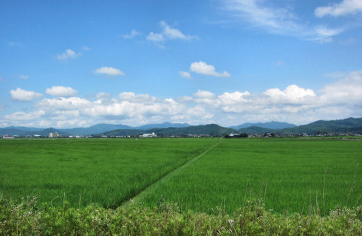 床瀬まで蕎麦を・・　GSっていいね_e0261673_12461757.jpg